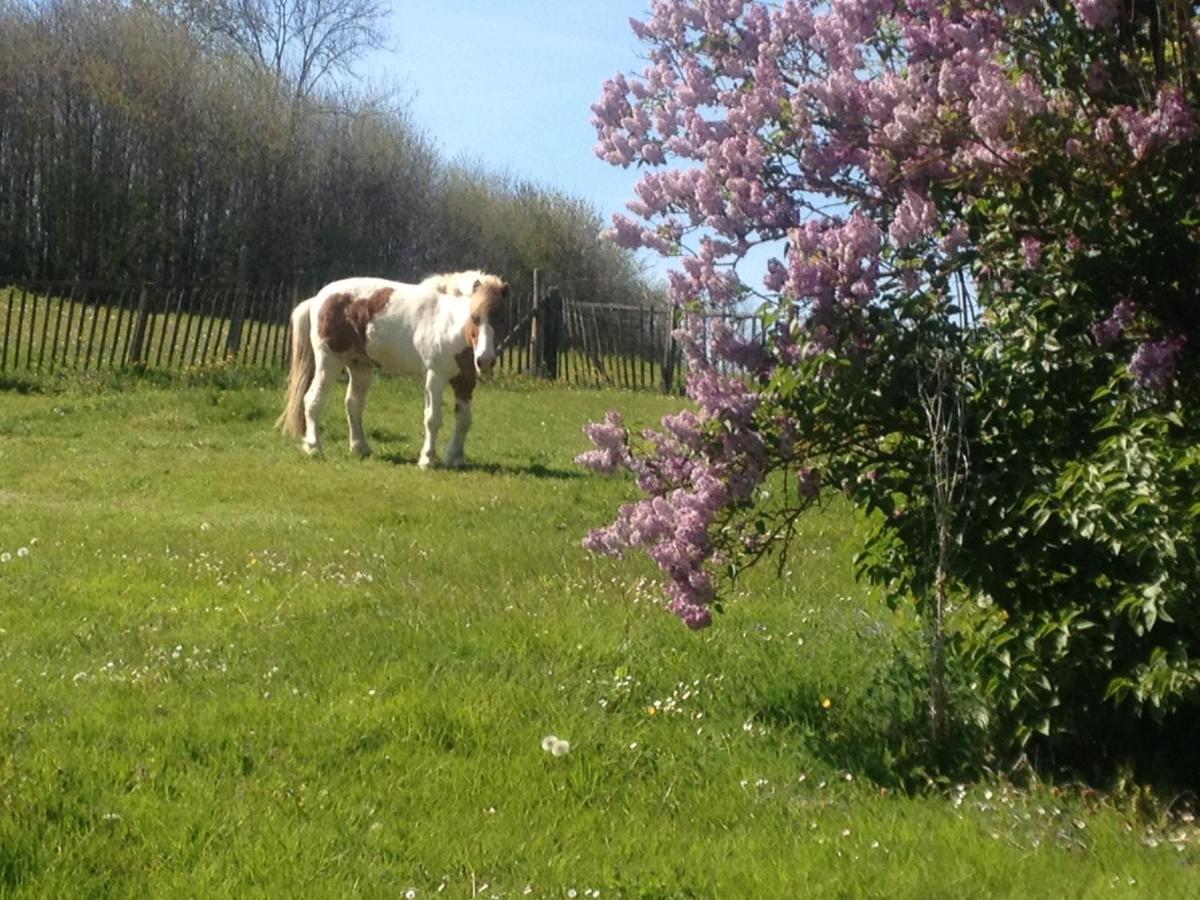 My little sweet home Colombe  Exteriör bild